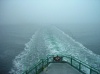 Stern