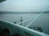Bainbridge/2
