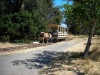 horse tram at Deer Park