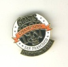 1987 division champion- pin