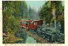 Mount Tamalpais Car 5